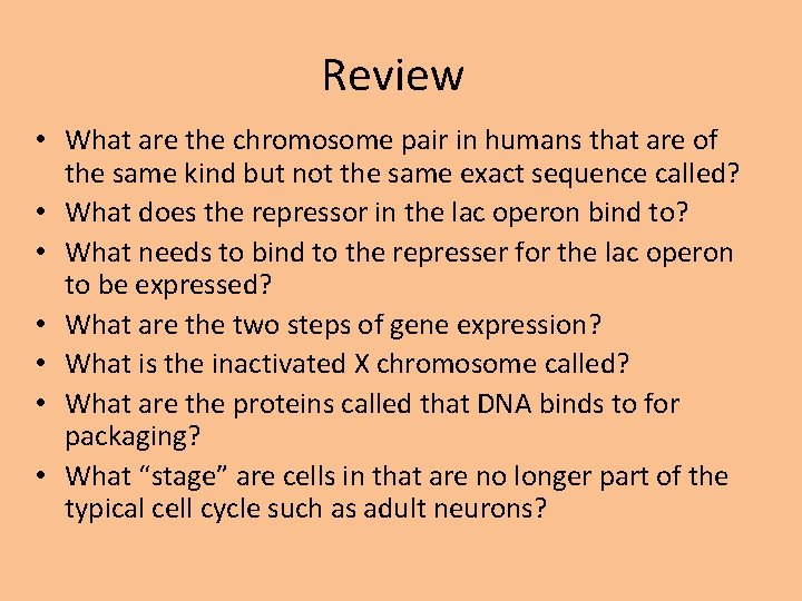 Review • What are the chromosome pair in humans that are of the same