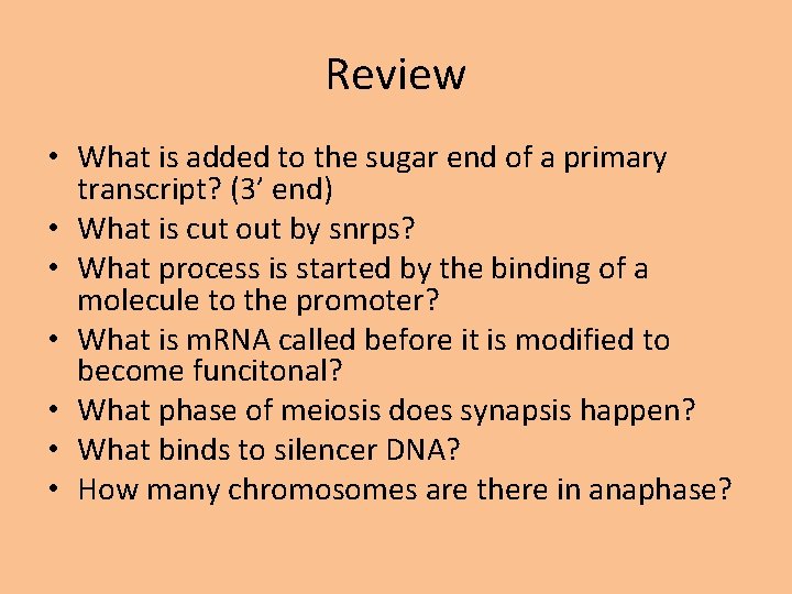 Review • What is added to the sugar end of a primary transcript? (3’