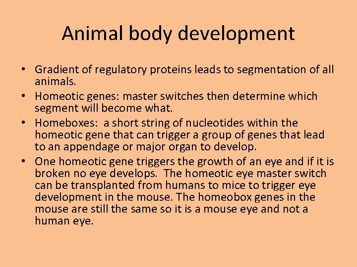 Animal body development • Gradient of regulatory proteins leads to segmentation of all animals.