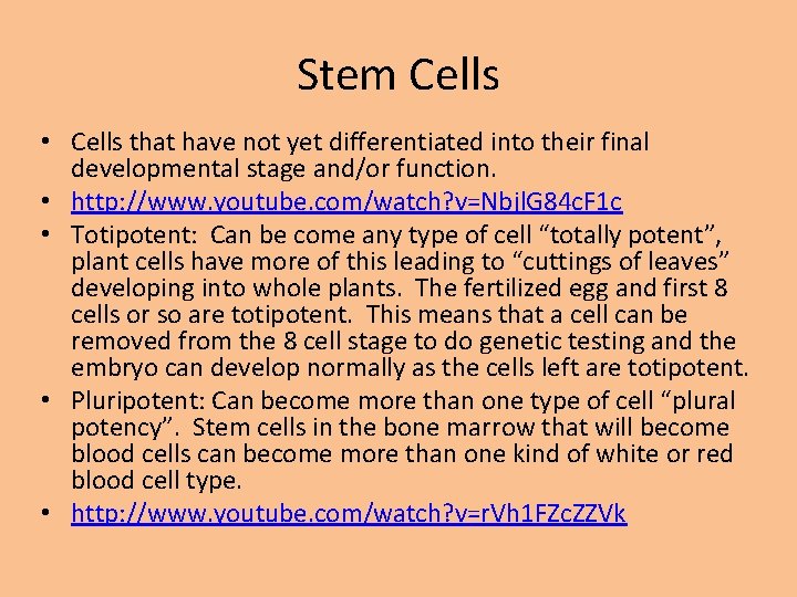 Stem Cells • Cells that have not yet differentiated into their final developmental stage