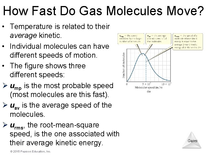 How Fast Do Gas Molecules Move? • Temperature is related to their average kinetic. How Fast Do Gas Molecules Move? • Temperature is related to their average kinetic.