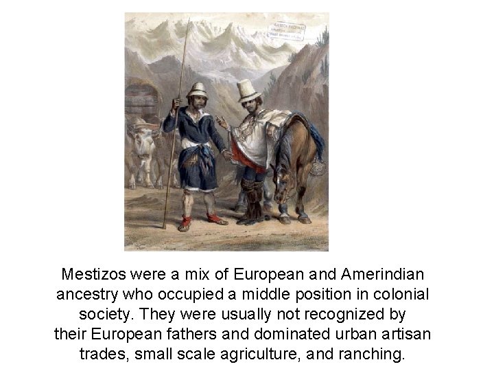 Mestizos were a mix of European and Amerindian ancestry who occupied a middle position