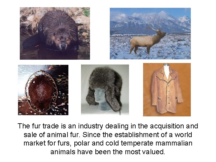 The fur trade is an industry dealing in the acquisition and sale of animal