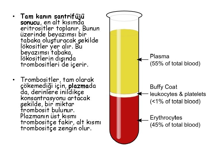 • Tam kanın santrifüjü sonucu, en alt kısımda eritrositler toplanır. Bunun üzerinde beyazımsı • Tam kanın santrifüjü sonucu, en alt kısımda eritrositler toplanır. Bunun üzerinde beyazımsı