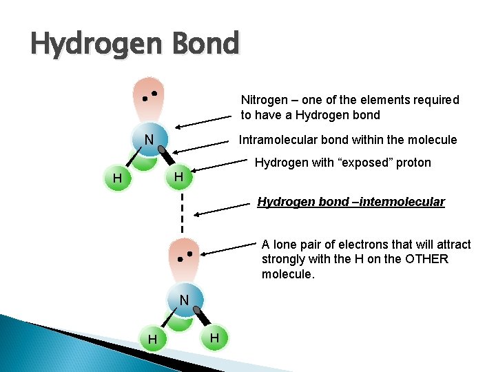 Hydrogen Bond Nitrogen – one of the elements required to have a Hydrogen bond
