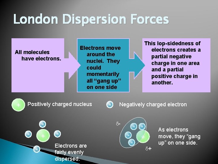 London Dispersion Forces All molecules have electrons. + Positively charged nucleus + - -