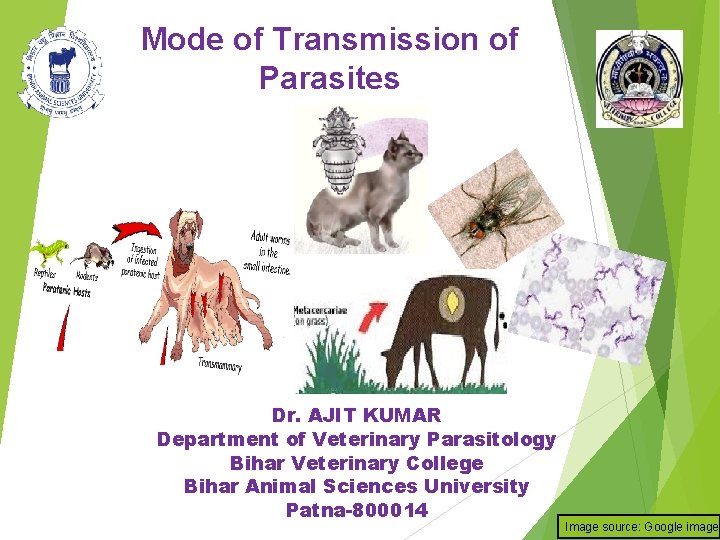 Mode of Transmission of Parasites Dr. AJIT KUMAR Department of Veterinary Parasitology Bihar Veterinary Mode of Transmission of Parasites Dr. AJIT KUMAR Department of Veterinary Parasitology Bihar Veterinary