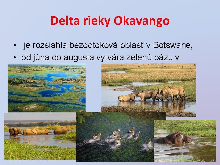 Delta Rieky Pamiatky UNESCO v AFRIKE Geografia 5 ronk Mgr