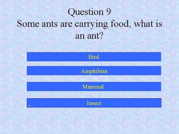 Question 9 Some ants are carrying food, what is an ant? Bird Amphibian Mammal