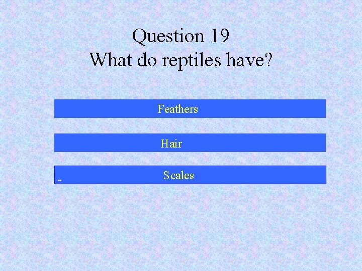 Question 19 What do reptiles have? Feathers Hair Scales 