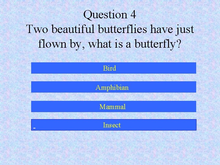 Question 4 Two beautiful butterflies have just flown by, what is a butterfly? Bird