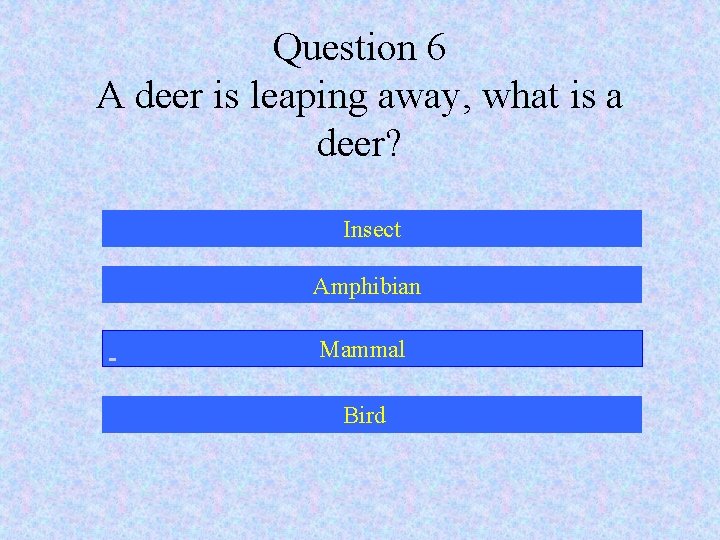 Question 6 A deer is leaping away, what is a deer? Insect Amphibian Mammal