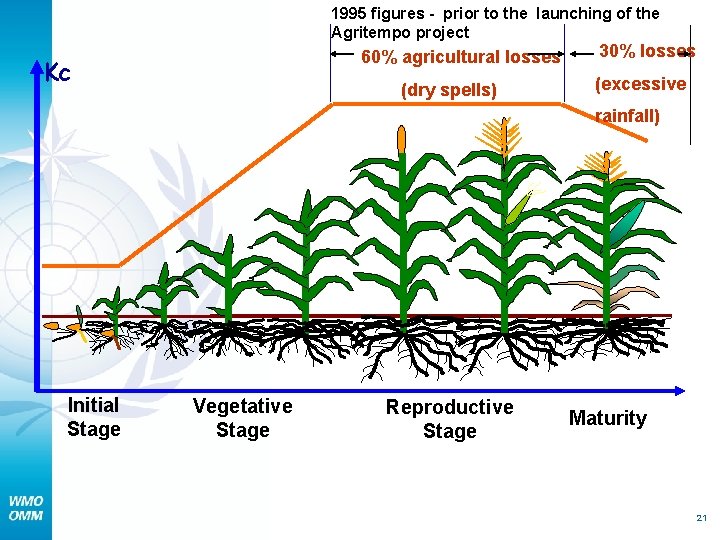 1995 figures - prior to the launching of the Agritempo project 60% agricultural losses