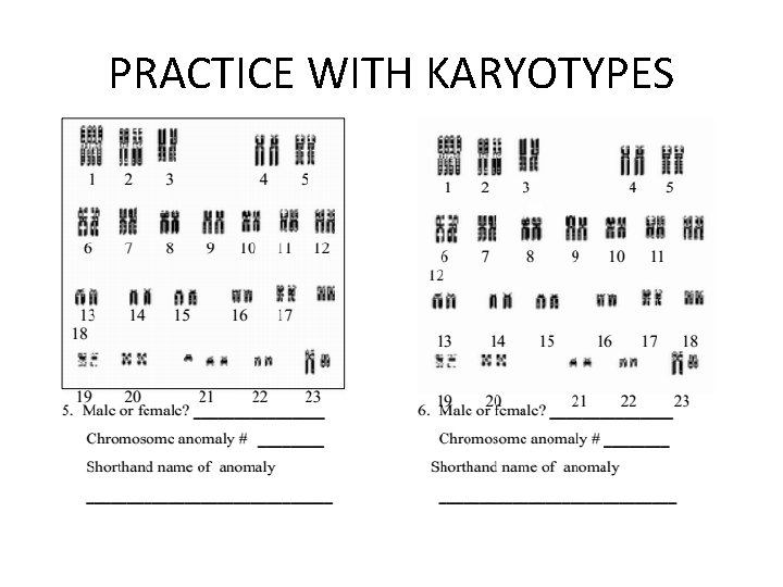 PRACTICE WITH KARYOTYPES 