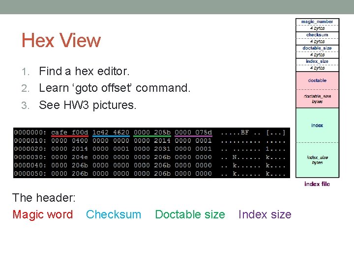Hex View 1. Find a hex editor. 2. Learn ‘goto offset’ command. 3. See