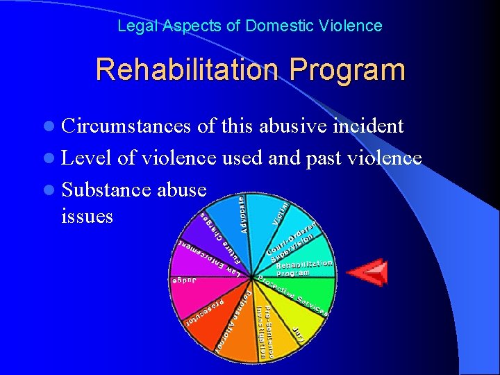 Legal Aspects of Domestic Violence Rehabilitation Program l Circumstances of this abusive incident l