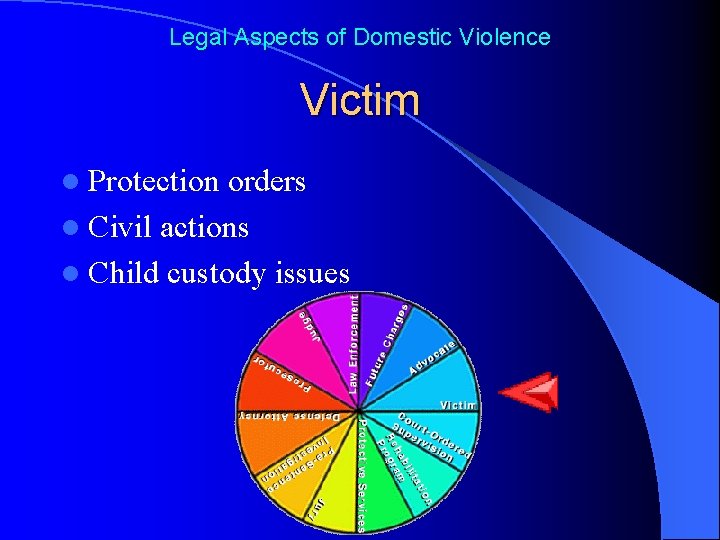 Legal Aspects of Domestic Violence Victim l Protection orders l Civil actions l Child