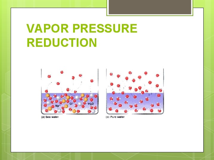 VAPOR PRESSURE REDUCTION 