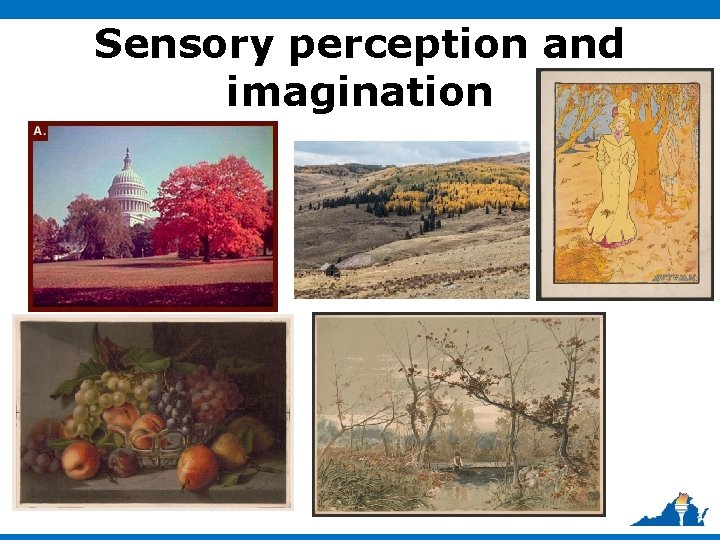 Sensory perception and imagination 