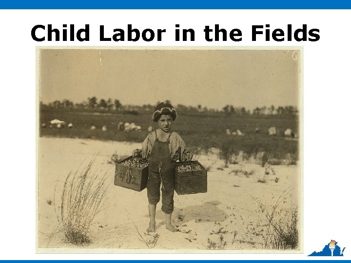 Child Labor in the Fields 