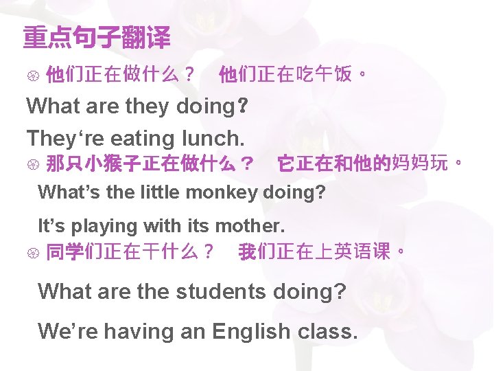 重点句子翻译 他们正在做什么？ 他们正在吃午饭。 What are they doing？ They‘re eating lunch. 那只小猴子正在做什么？ 它正在和他的妈妈玩。 What’s the