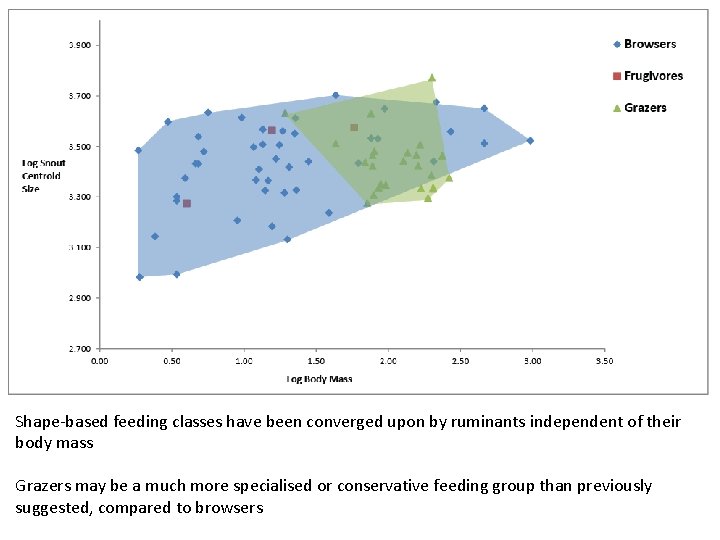 Shape-based feeding classes have been converged upon by ruminants independent of their body mass