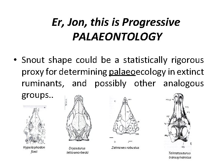 Er, Jon, this is Progressive PALAEONTOLOGY • Snout shape could be a statistically rigorous