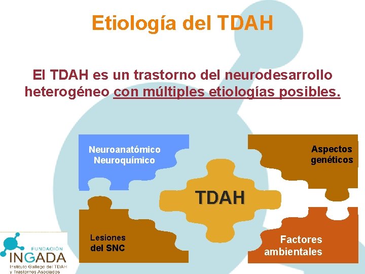 Etiología del TDAH El TDAH es un trastorno del neurodesarrollo heterogéneo con múltiples etiologías