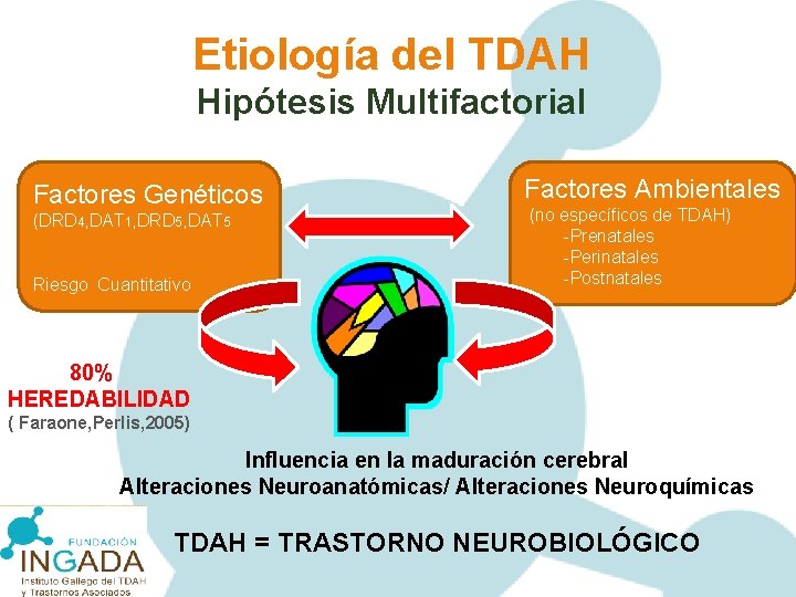 Etiología del TDAH Hipótesis Multifactorial Factores Genéticos (DRD 4, DAT 1, DRD 5, DAT