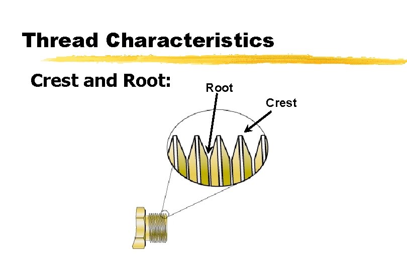 Thread Characteristics Crest and Root: Root Crest 