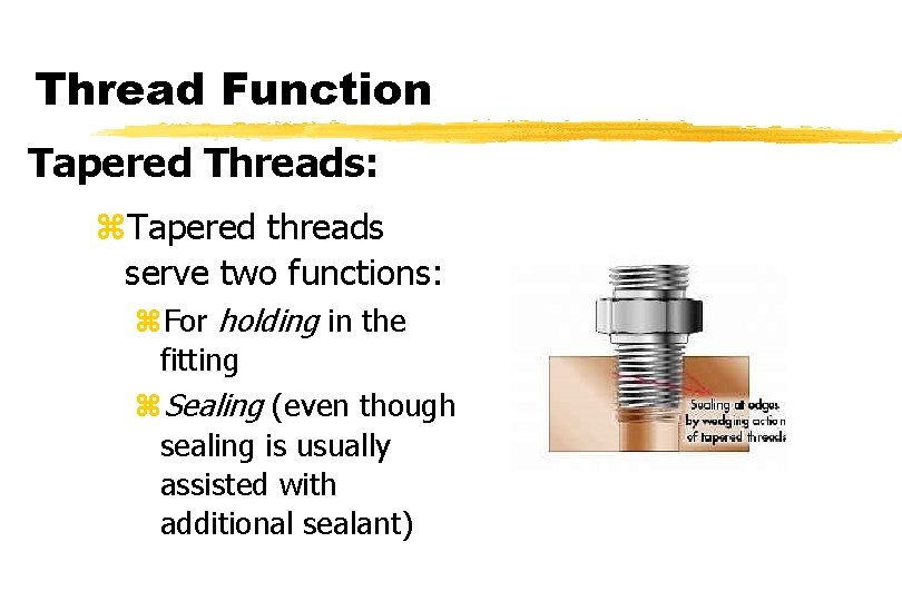 Thread Function Tapered Threads: z. Tapered threads serve two functions: z. For holding in