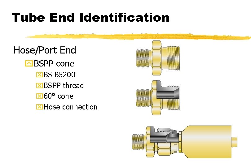 Tube End Identification Hose/Port End y. BSPP cone x. BS B 5200 x. BSPP