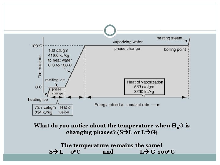 What do you notice about the temperature when H 2 O is changing phases?
