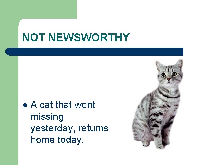 NOT NEWSWORTHY l A cat that went missing yesterday, returns home today. 