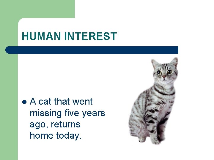 HUMAN INTEREST l A cat that went missing five years ago, returns home today.