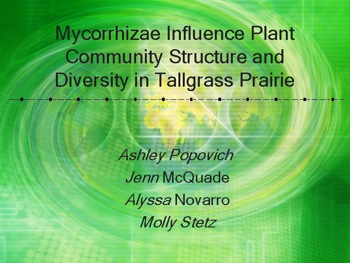 Mycorrhizae Influence Plant Community Structure and Diversity in Tallgrass Prairie Ashley Popovich Jenn Mc. Mycorrhizae Influence Plant Community Structure and Diversity in Tallgrass Prairie Ashley Popovich Jenn Mc.