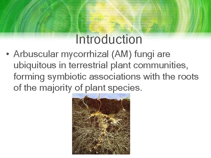 Introduction • Arbuscular mycorrhizal (AM) fungi are ubiquitous in terrestrial plant communities, forming symbiotic Introduction • Arbuscular mycorrhizal (AM) fungi are ubiquitous in terrestrial plant communities, forming symbiotic