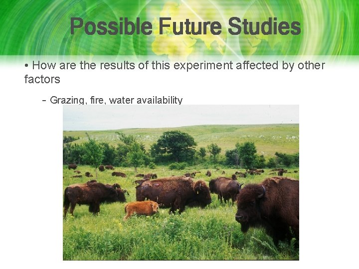 Possible Future Studies • How are the results of this experiment affected by other Possible Future Studies • How are the results of this experiment affected by other