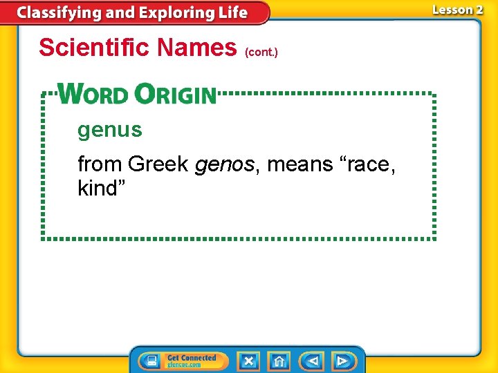Scientific Names (cont. ) genus from Greek genos, means “race, kind” Scientific Names (cont. ) genus from Greek genos, means “race, kind”