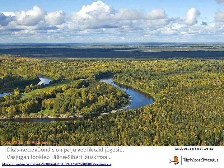 Foto: Vadim t. LS Andrianov Okasmetsavööndis on palju veerikkaid jõgesid. Vasjugan lookleb Lääne-Siberi lauskmaal.