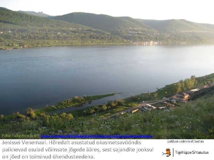 Foto: Tulip meadow http: //commons. wikimedia. org/wiki/File: Yenisei_2010 -08 -22. jpg? uselang=ru Jenissei Venemaal.