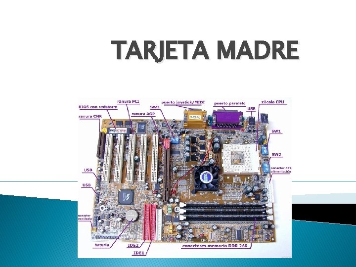 TARJETA MADRE 