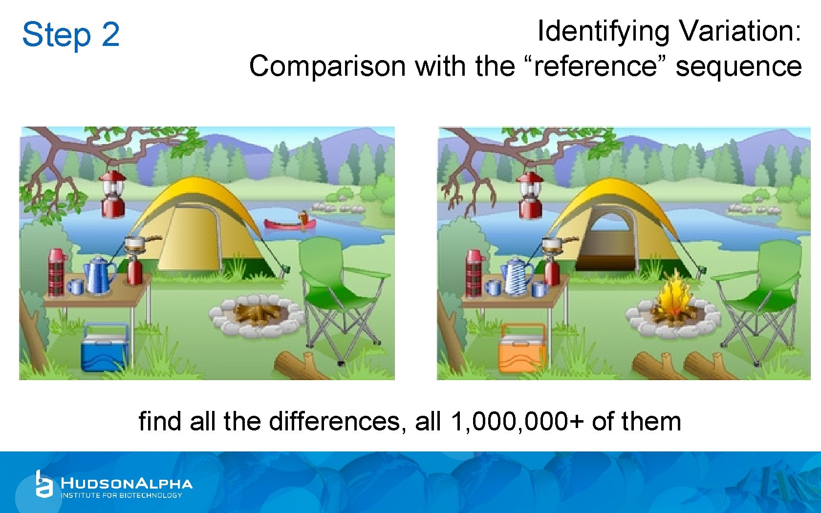 Step 2 Identifying Variation: Comparison with the “reference” sequence find all the differences, all