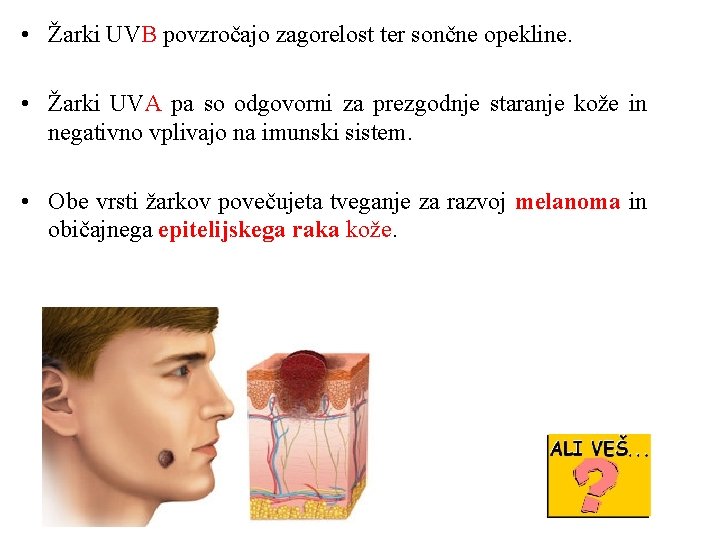  • Žarki UVB povzročajo zagorelost ter sončne opekline. • Žarki UVA pa so