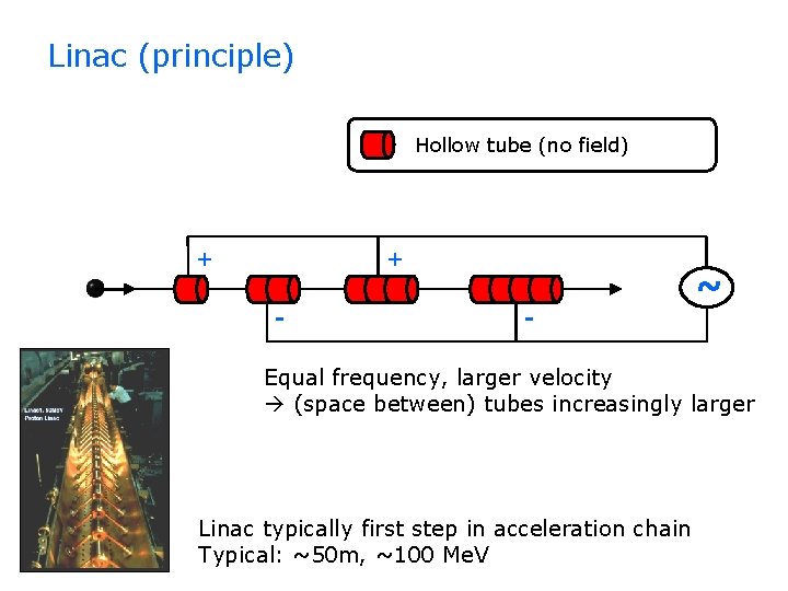 Linac (principle) Hollow tube (no field) + + - ~ - Equal frequency, larger