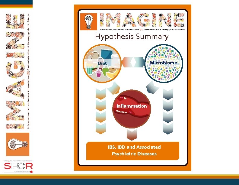 Hypothesis Summary Microbiome Diet Inflammation IBS, IBD and Associated Psychiatric Diseases 