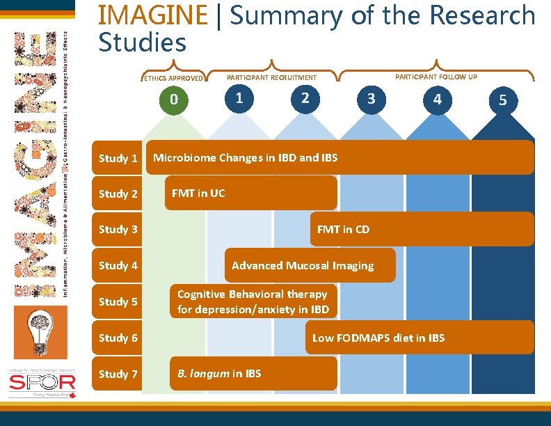 IMAGINE | Summary of the Research Studies ETHICS APPROVED 0 Study 1 Study 2