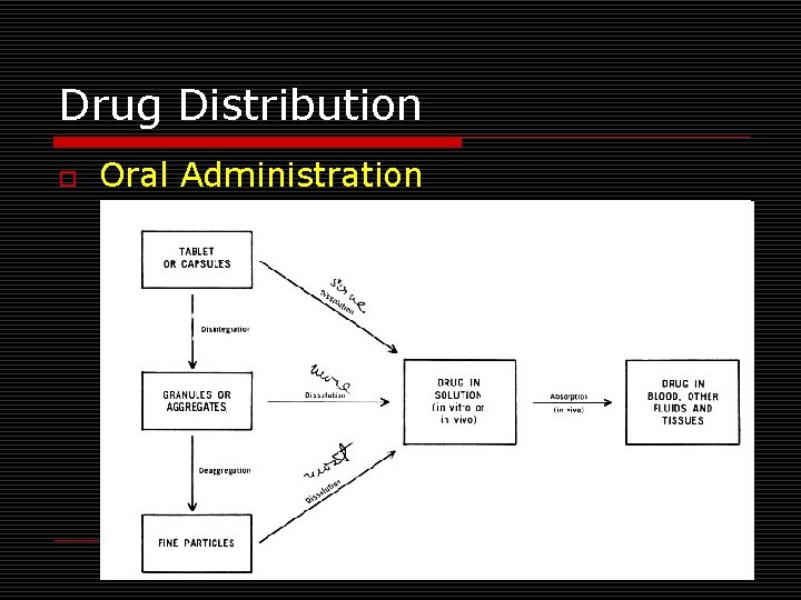 Drug Distribution o Oral Administration 