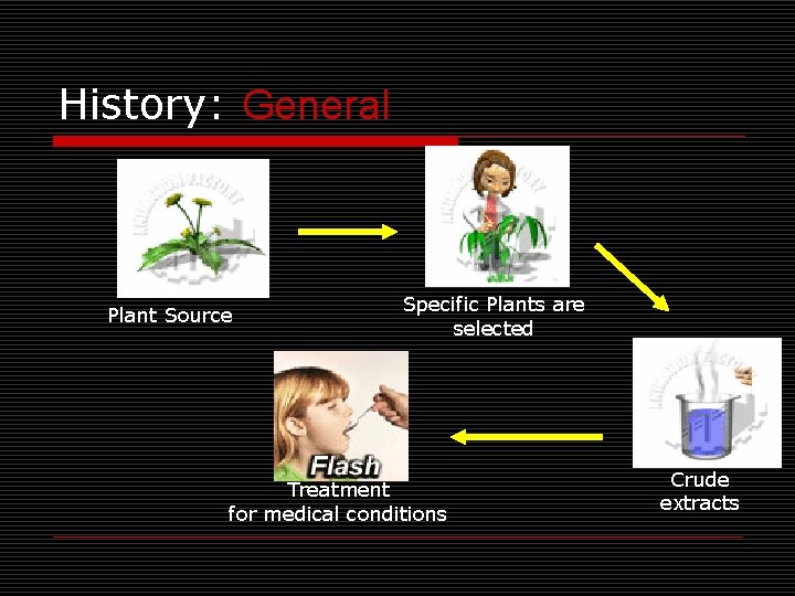 History: General Plant Source Specific Plants are selected Treatment for medical conditions Crude extracts