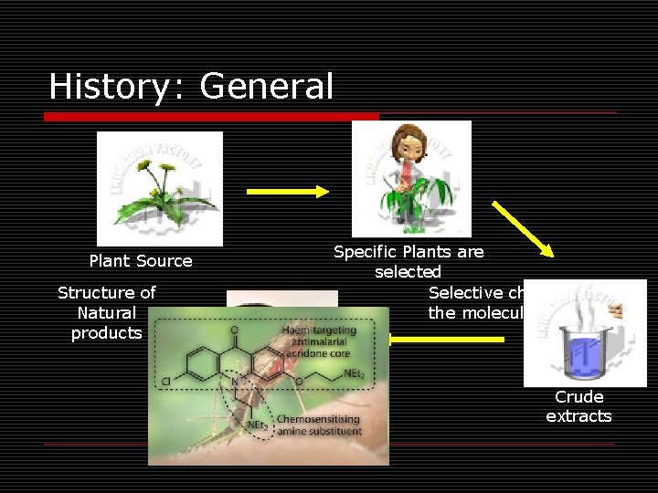 History: General Plant Source Structure of Natural products Specific Plants are selected Selective changes